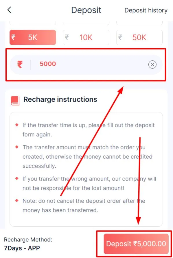 Enter the deposit amount and complete the payment